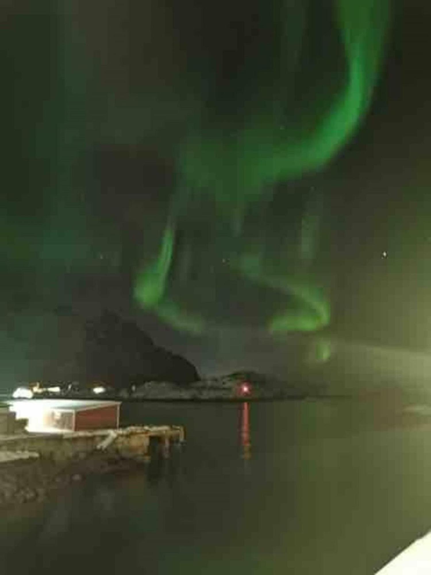 Ny Leilighet I Henningsvaer! Bagian luar foto